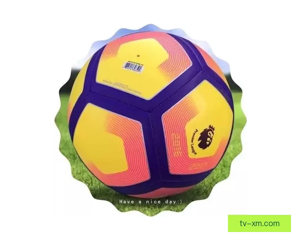 世界杯体育竞猜全面攻略解析助力玩家精准投注获胜技巧